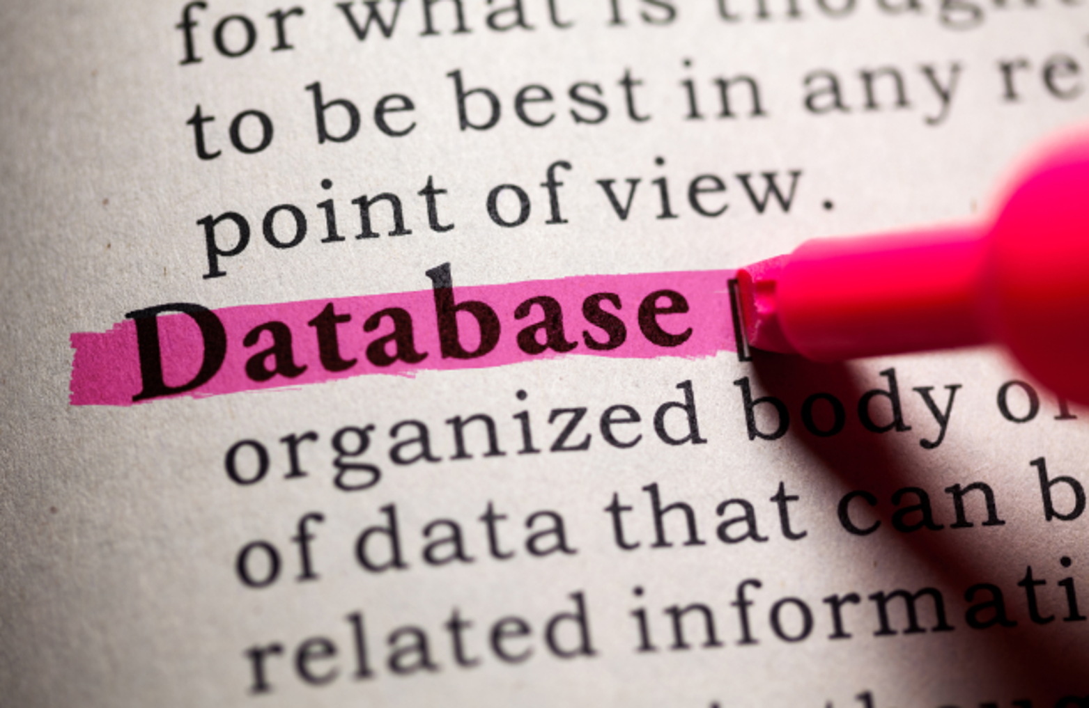 database highlighted in dictionary